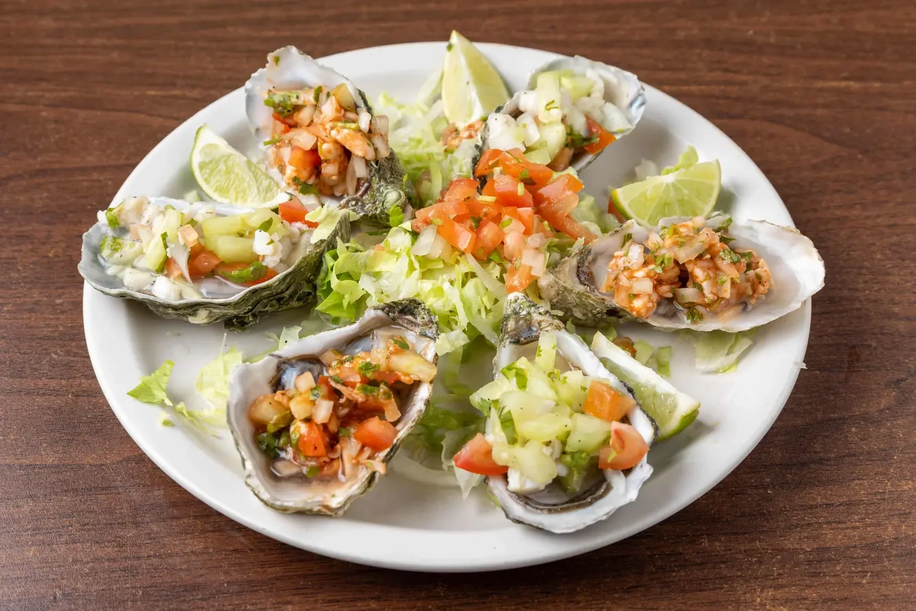 Doz Oyster